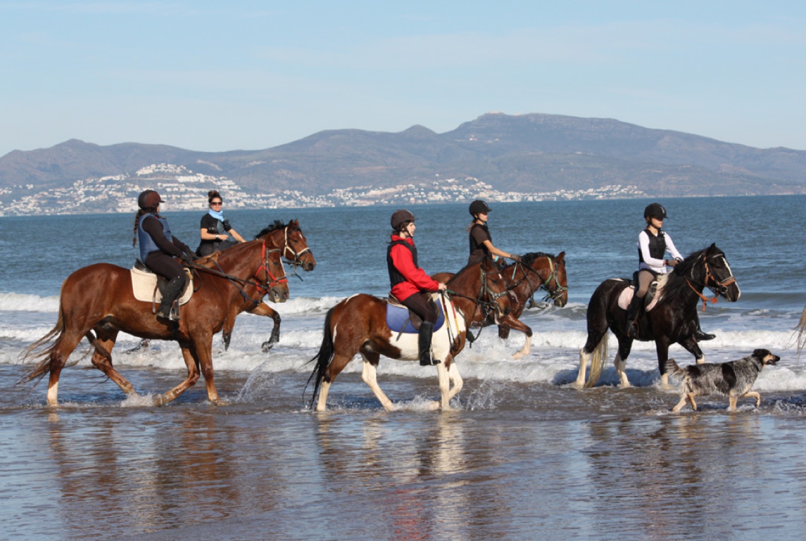 Grupo de jinetes a caballo por la orilla de la playa
