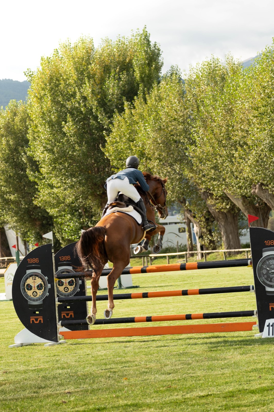 Jinete y caballo superando un obstáculo en competición de salto