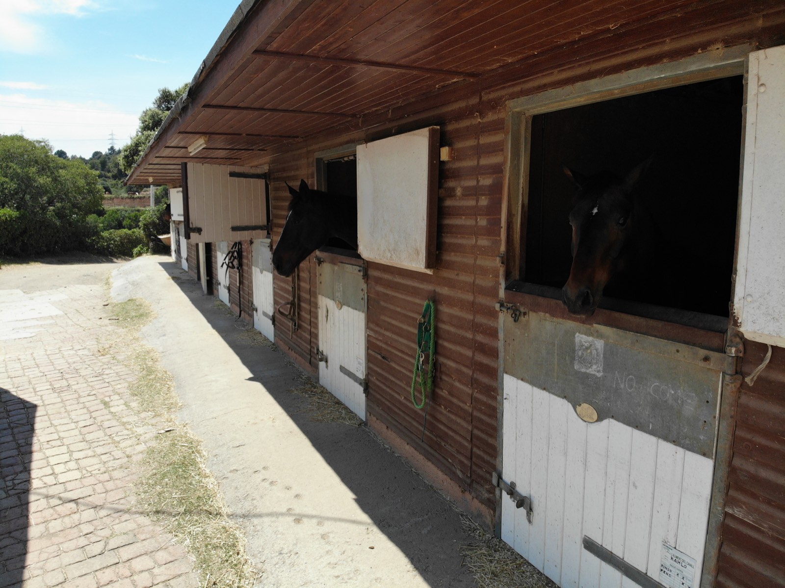 Caballos asomados a las puertas de los boxes del Poni Club Catalunya