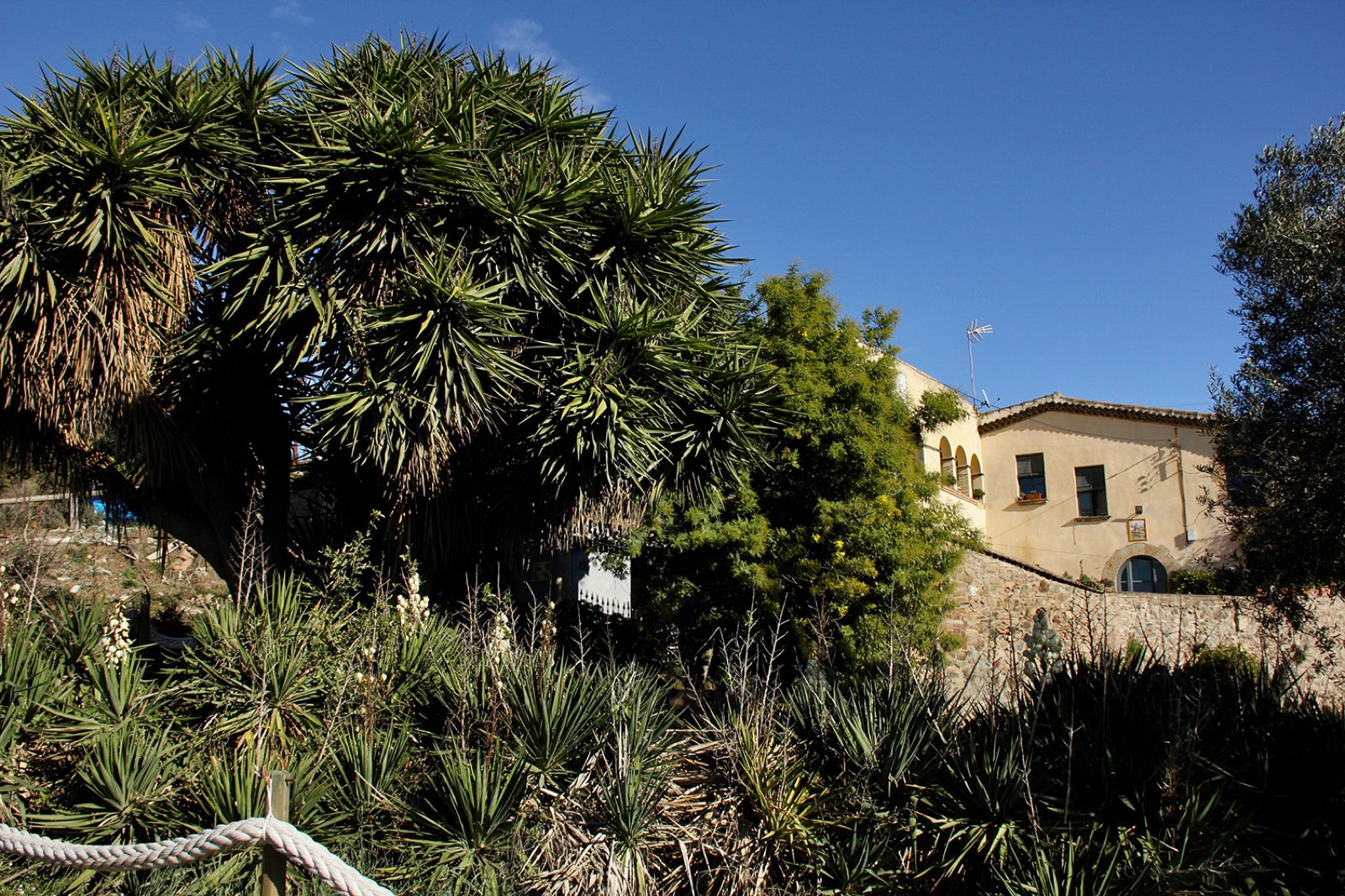 Edificio del Poni Club Catalunya rodeado de árboles y vegetación